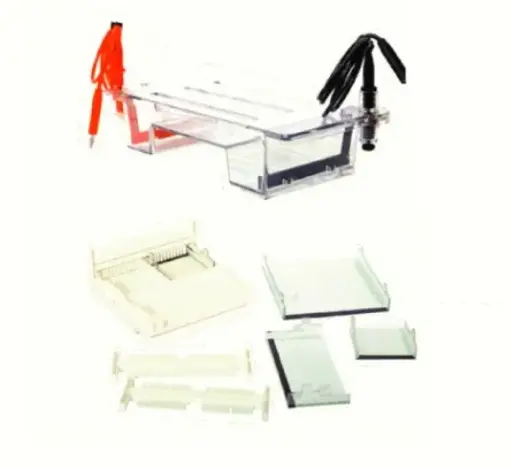MIDI Horizontal Immersed Gel Electrophoresis Unit