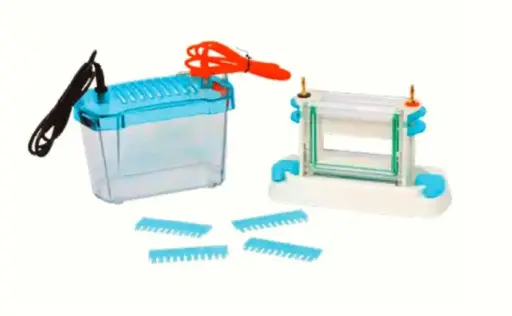 Vertical Mini Dual Gel Electrophoresis unit 