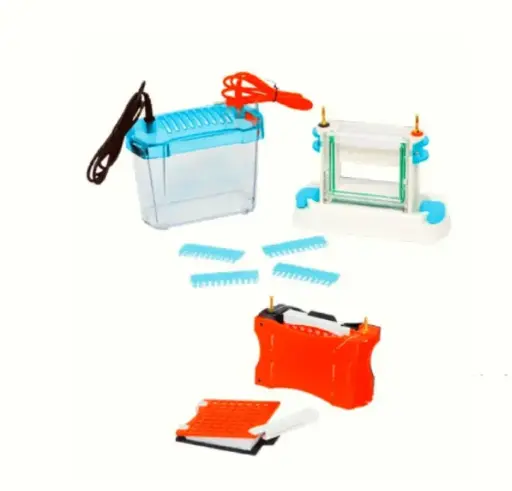 Vertical Mini Dual Electrophoresis with Protein Blotting Modules